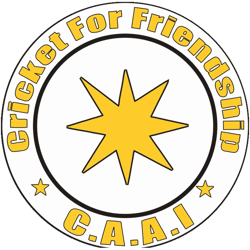 CAAI logo